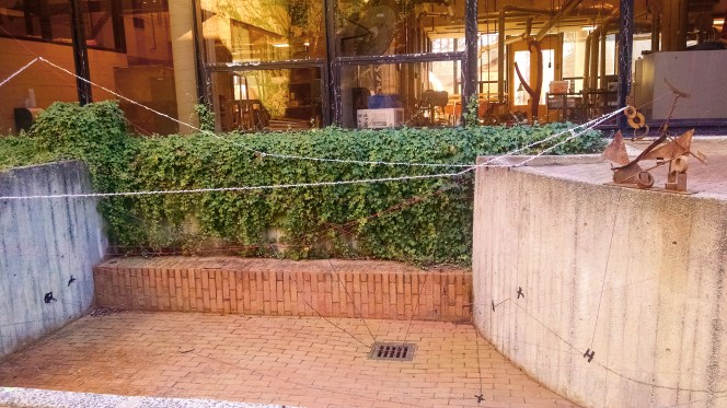 IMG_20160201_154954618