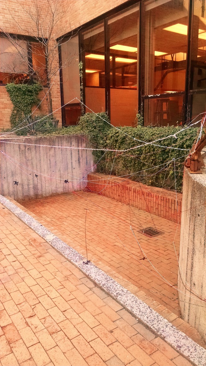 IMG_20160201_163753282