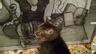 IMG_20160308_223024411