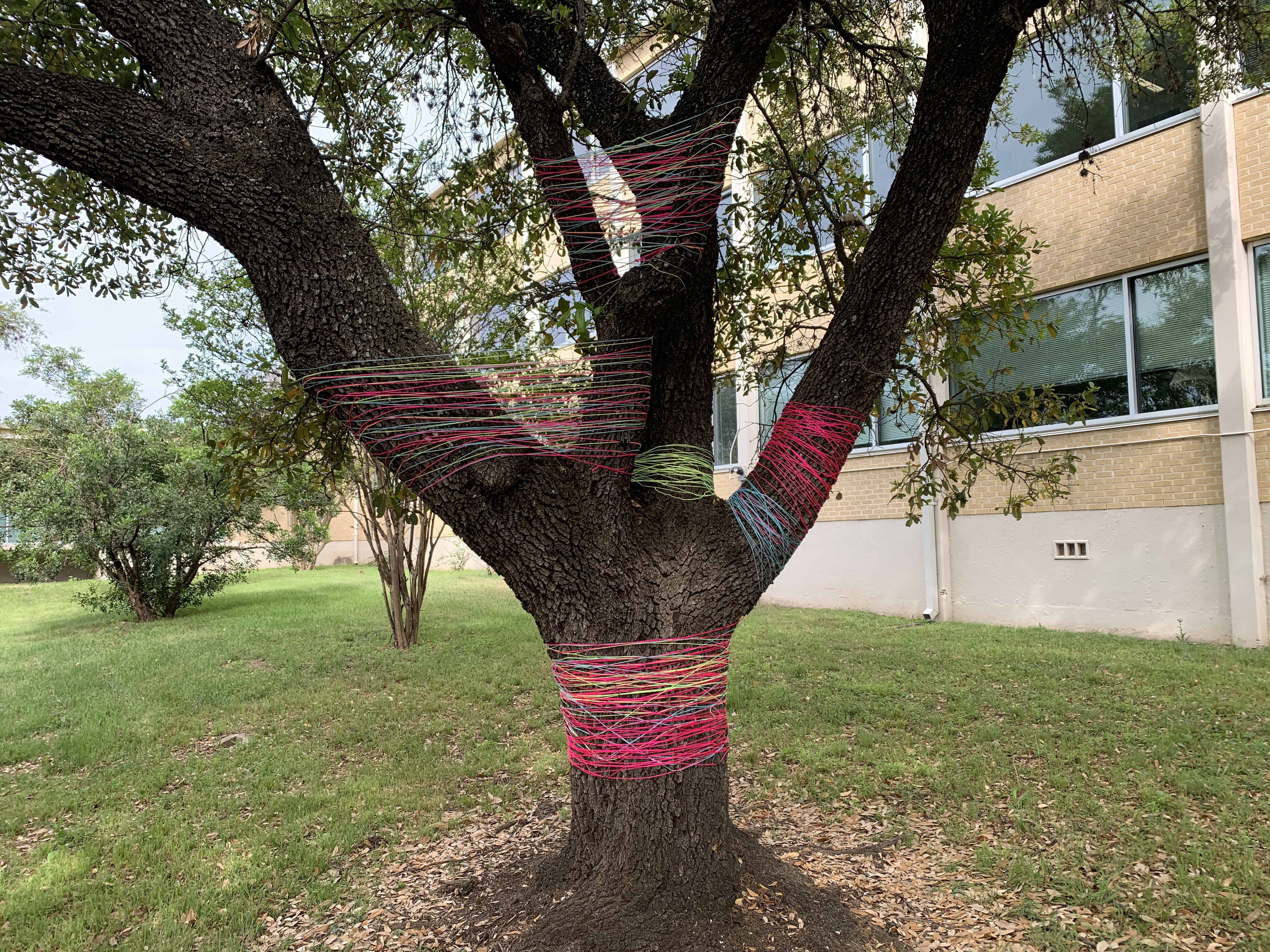 (Trees) Group Project – drawing into space